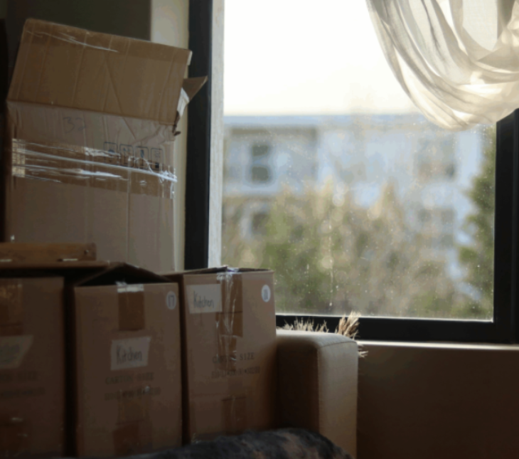 moving back home after college